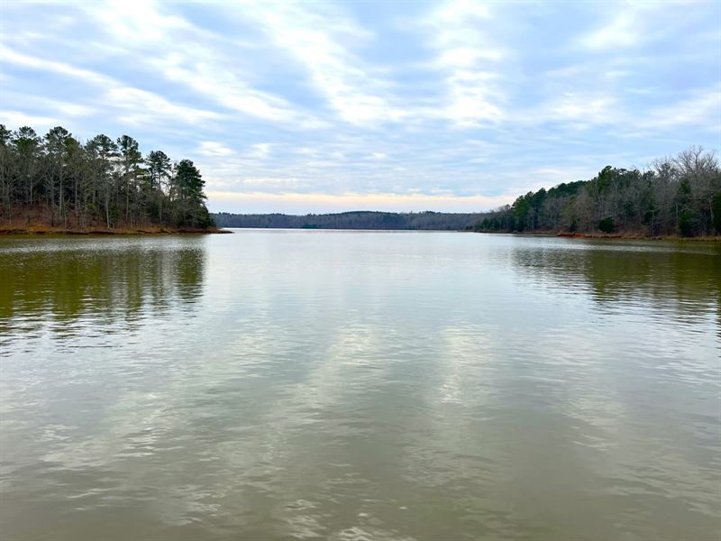 Timber & Hunt, Lake Russell, Farm for Sale in 369818 FARMFLIP