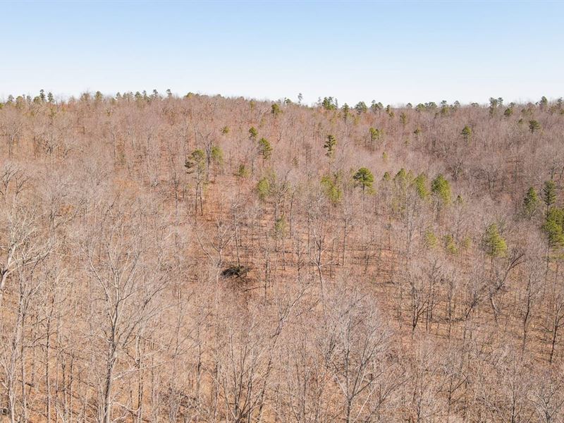 100 Acres in Eminence, MO for Sale, Farm for Sale in Missouri, 369939