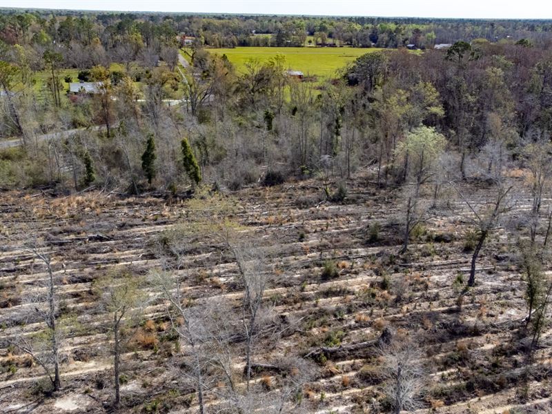 14 Ac Homesite Wewahitchka FL, Farm for Sale in Florida, 369945 FARMFLIP