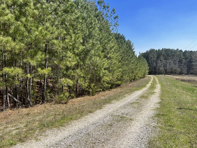 Unique Residential Development, Farm for Sale by Owner in