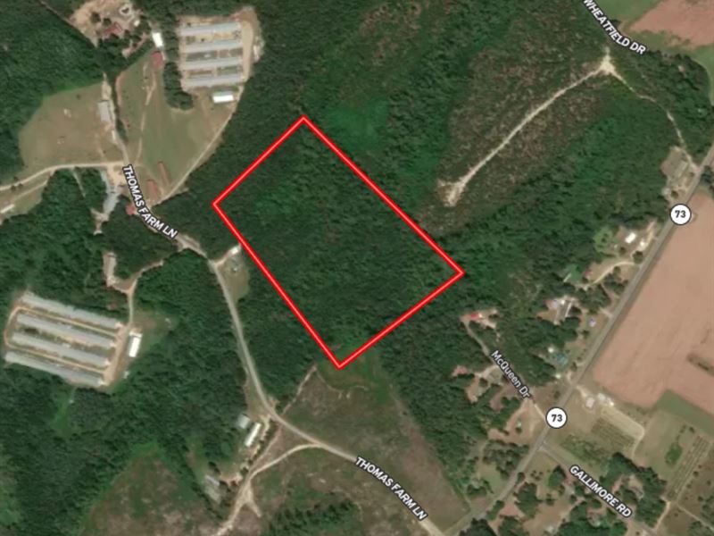 19.26 Acres in Richmond County, NC, Farm for Sale by Owner in North