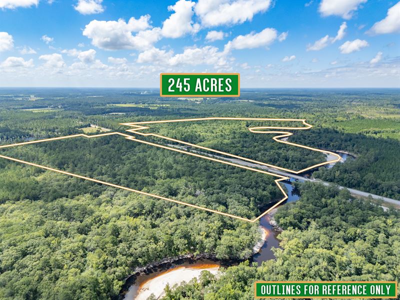 Riverfront Haven on Alapaha River, Farm for Sale in 370208