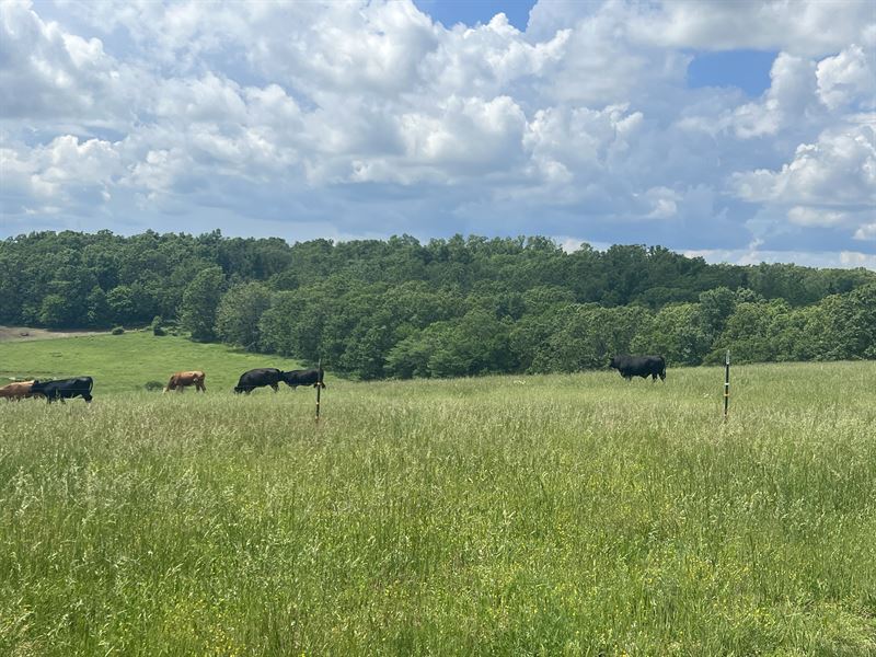 Land for Sale in Missouri, Farm for Sale in Missouri, 370308 FARMFLIP