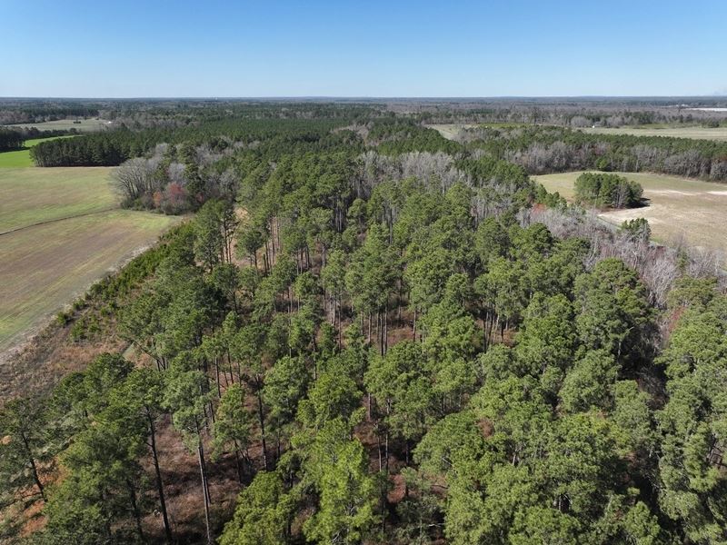 Farm & Residential Land for Sale, Farm for Sale in North Carolina