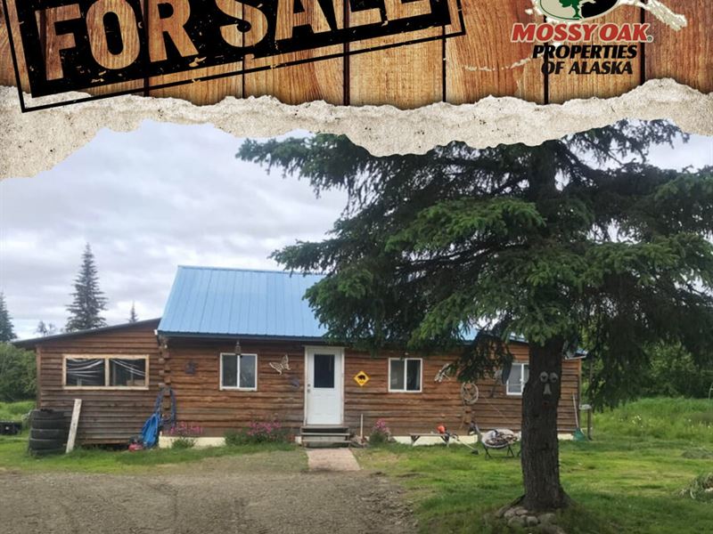 Log Cabin on 5 Acres Off Grid Maint : Ninilchik : Kenai Peninsula Borough : Alaska