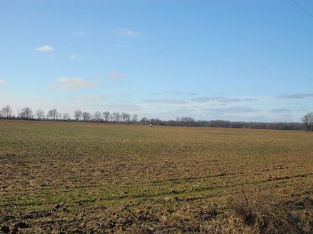 600 Acres Famland/timber : Poplar Grove : Phillips County : Arkansas