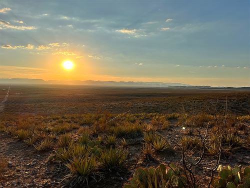 Mission Land Freedom Just $300/Mo : Van Horn : Culberson County : Texas