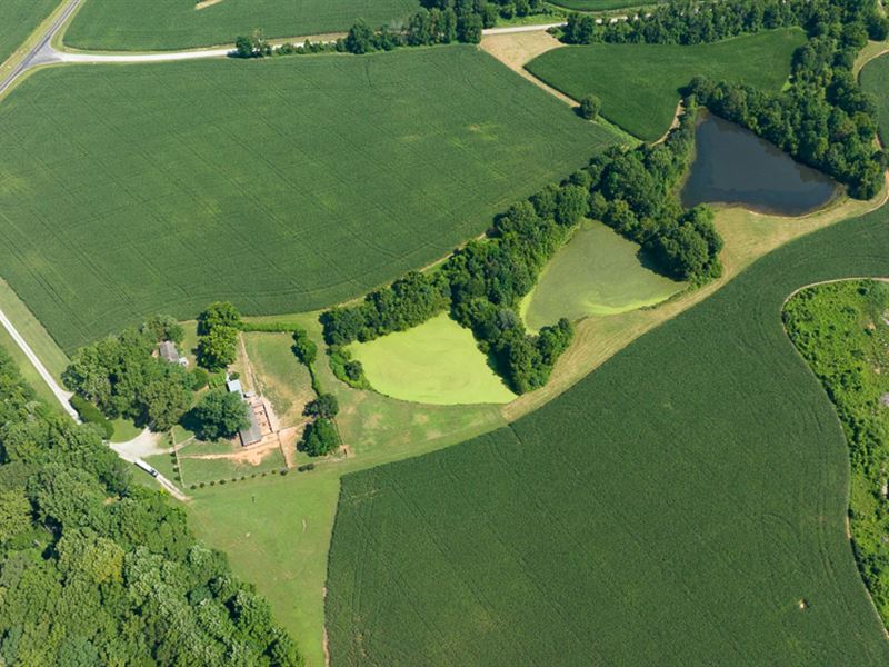 Moores Mill Road Farm : Rougemont : Durham County : North Carolina