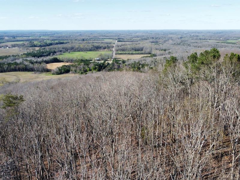 Bankhead National Forest 15 Acres, Farm for Sale in Alabama, 370850