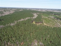 585 Acre Development Property : Covington : Newton County : Georgia