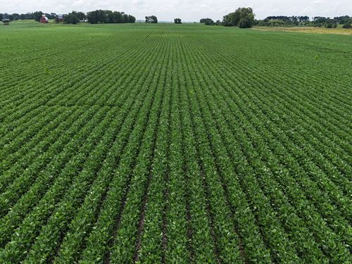Tampico Farm, Tract 1, Farm for Sale in Illinois, #371073