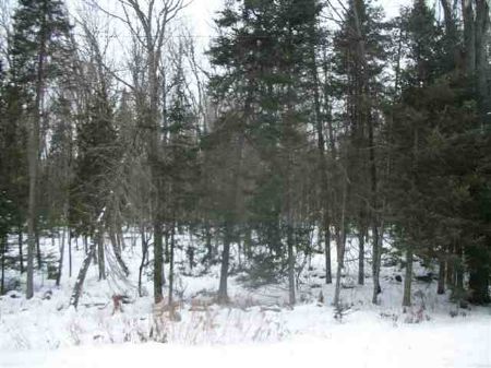 Tbd Stager Lake Road Mls 1057467 : Crystal Falls : Iron County : Michigan