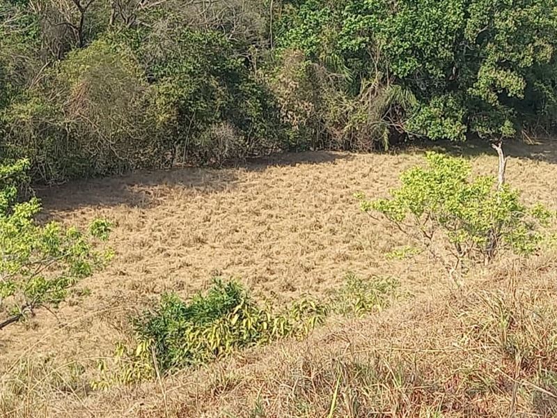Beautiful Farm in Cobano Puntarenas : Puntarenas El Cobano : Costa Rica