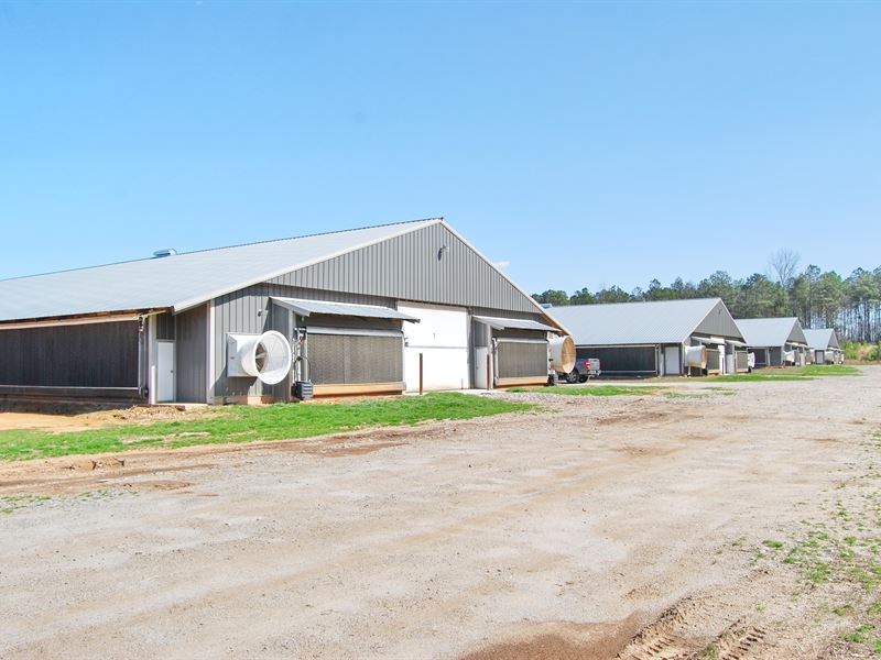 4 Mega Houses 66'X600' Built 2020 : Roanoke : Randolph County : Alabama