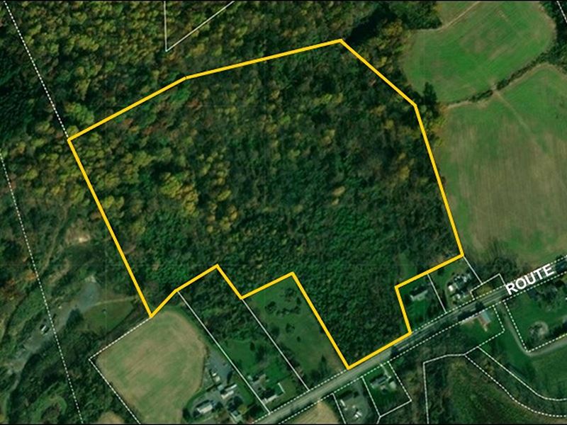 40 Acre Wooded Lot on Rt 57, Farm Auction in New Jersey, 371233 FARMFLIP