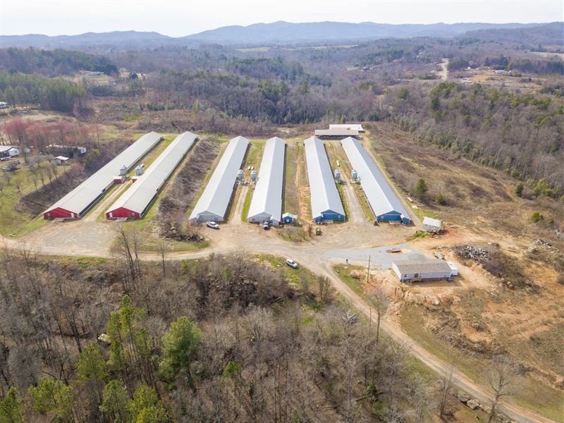 Chicken House for Sale : Connelly Springs : Burke County : North Carolina