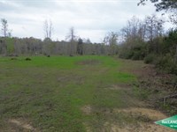 40 Ac, Wooded Tract on Kepler Lake : Jamestown : Bienville Parish : Louisiana