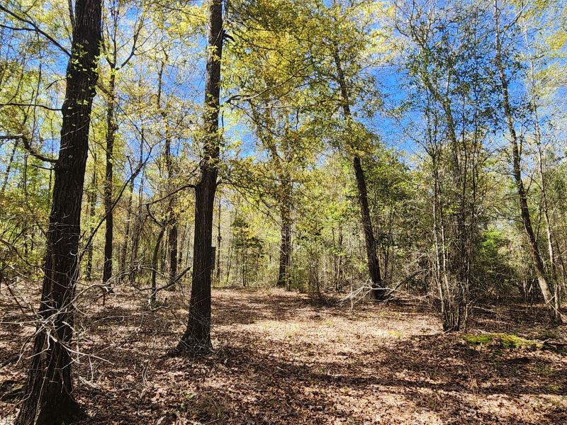 Pataula Place, Farm for Sale in 371401 FARMFLIP