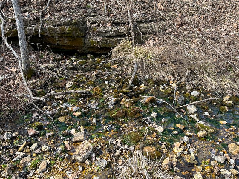 It Has a Spring, Owner-Financed : Willow Springs : Howell County : Missouri
