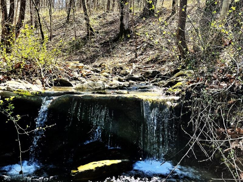 Great Hunting Land, with Timber, Farm for Sale in Kentucky, 371561