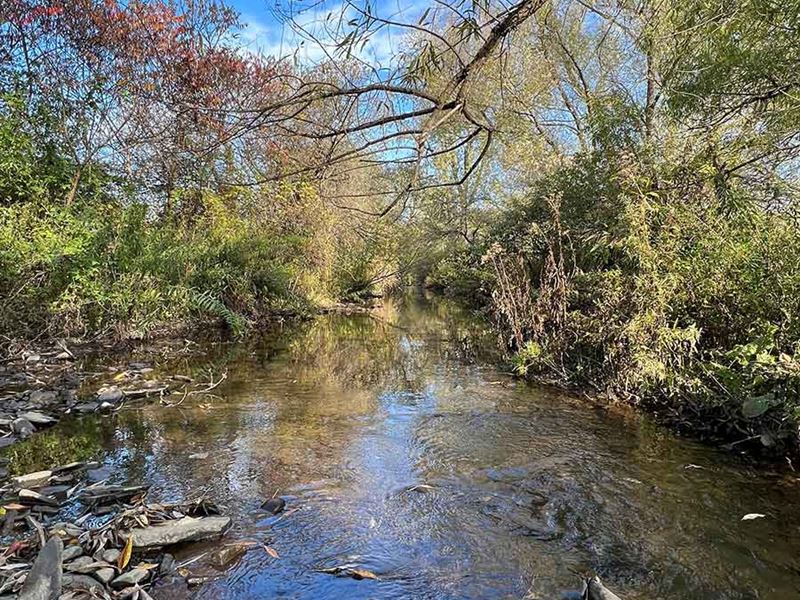 Abandoned Finger Lakes Farmhouse, Farm for Sale by Owner in New York