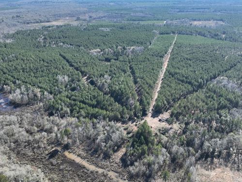 Mill Creek Tract in Red River Paris : Ringgold : Red River Parish : Louisiana