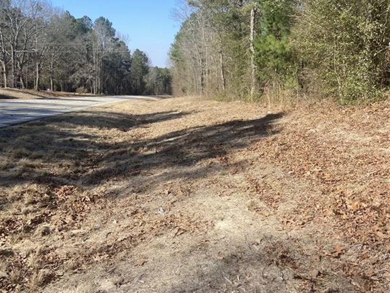 Productive Timber and Investment : Gibson : Glascock County : Georgia