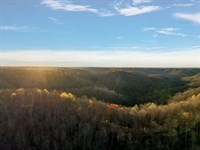 213.68 Acres of Excellent Hunting : Whitleyville : Jackson County : Tennessee