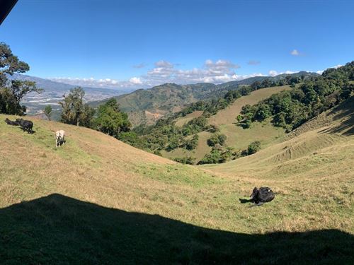 Incredible Farm with Beautiful View : El Guarco Cartago : Costa Rica