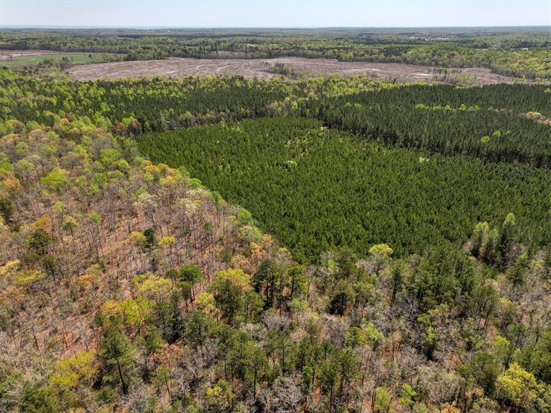 9.1 Ac in Lancaster County, VA, Farm for Sale by Owner in Virginia