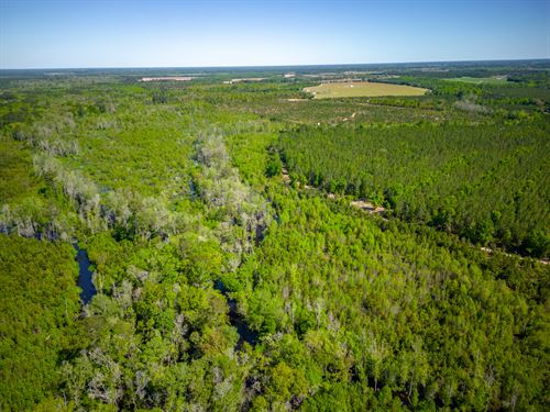 Heaven on Big Satilla Creek : Bristol : Appling County : Georgia