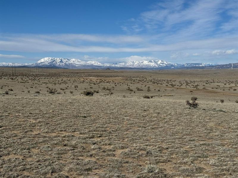 Lot 202 Colorado Land & Livestock : Walsenburg : Huerfano County : Colorado