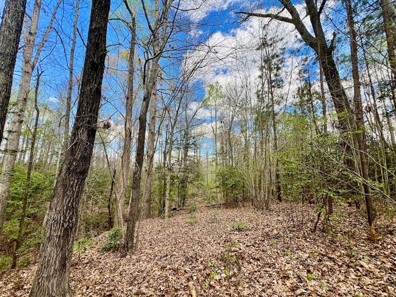 19 Acres of Resid, Farm for Sale in North Carolina, 372306 FARMFLIP