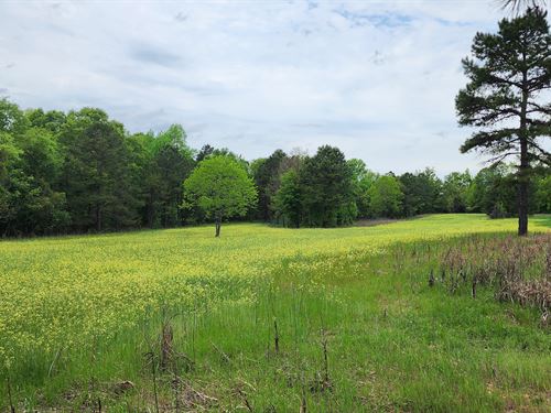 Secluded Hunter's Habitat : Richland : Stewart County : Georgia