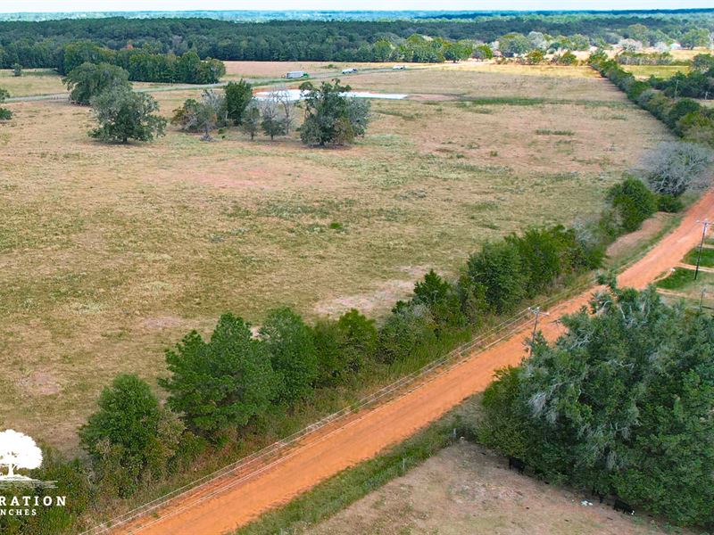Crockett Tract 1, Only $10K Down : Crockett : Houston County : Texas