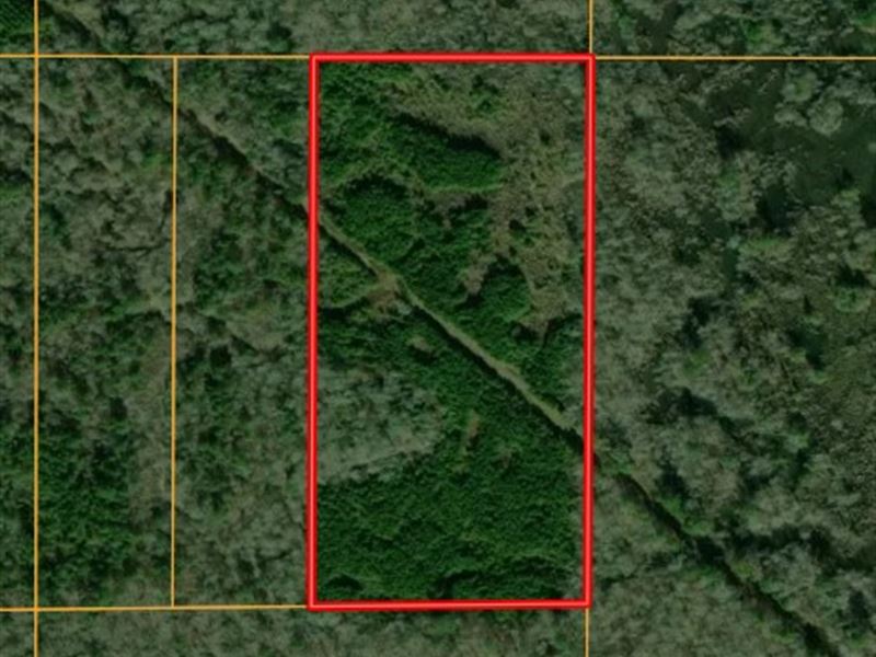 Sportsman's Paradise, Farm Auction in Louisiana, 372604 FARMFLIP