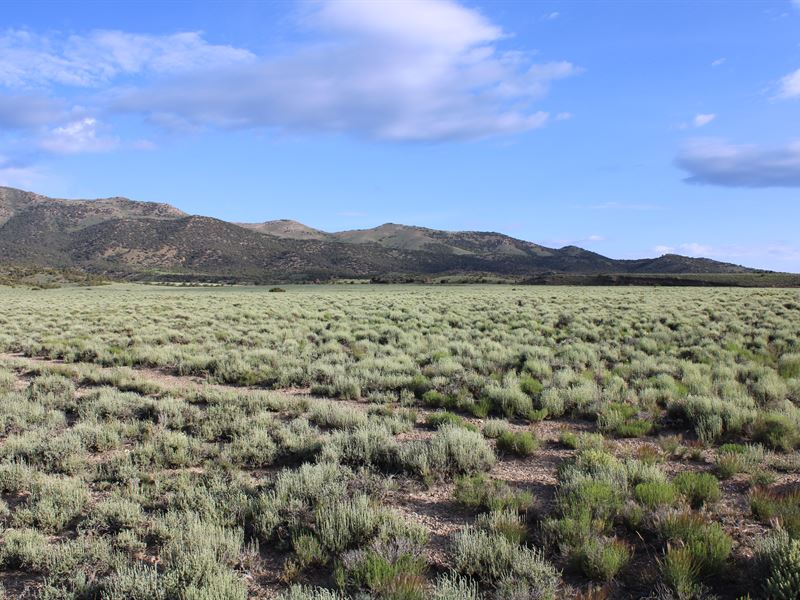 11 Ac at The Base and Discounted $$ : Montello : Elko County : Nevada