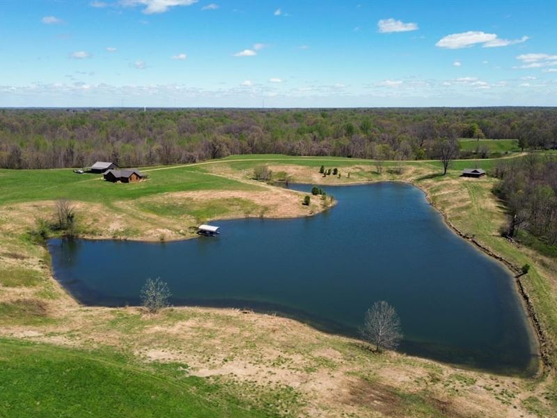 245 Acres with Cabin & 8 Acre Pond : Hornbeak : Obion County : Tennessee