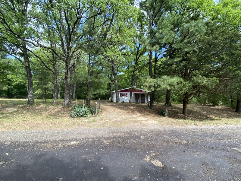 Recreational Land with Cabin, Farm for Sale in Texas, 372770 FARMFLIP