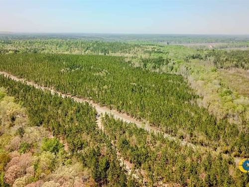 Buffalo Creek North Tract : Jefferson : Kershaw County : South Carolina
