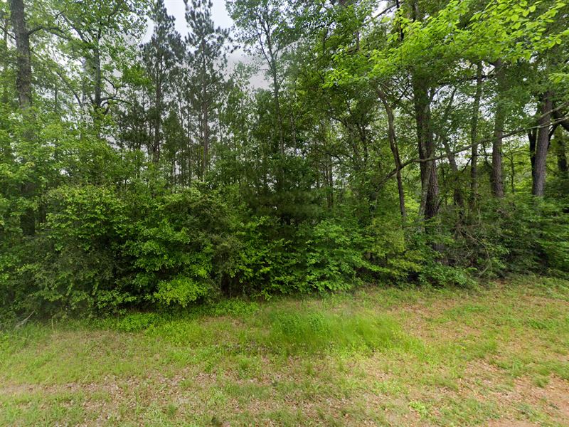 Unrestricted Acreage, Utilities, Farm for Sale by Owner in Texas