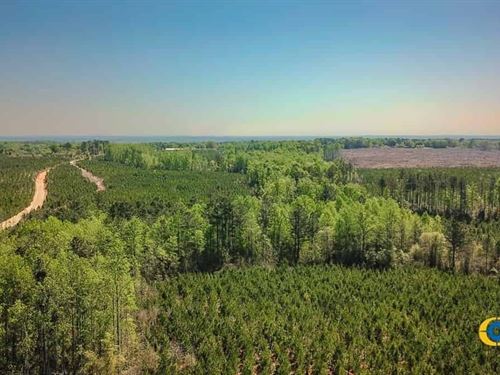 McBee Highway South Tract : Jefferson : Kershaw County : South Carolina