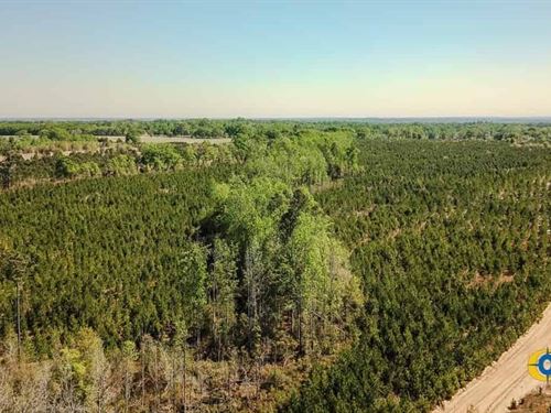 McBee Highway North Tract : Jefferson : Kershaw County : South Carolina