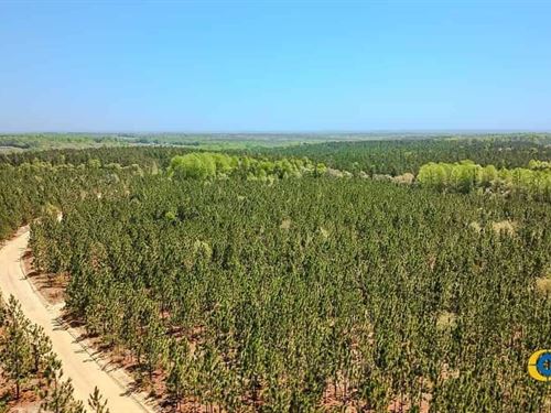 Abney Tract : Jefferson : Kershaw County : South Carolina