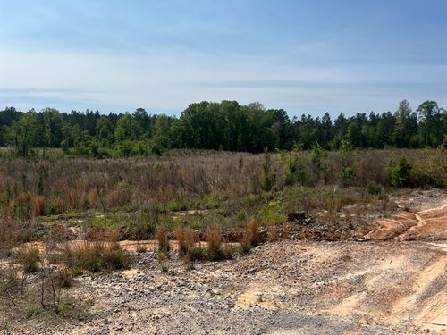 14 Acre Timber Tract With Road Fron : Chatham : Jackson Parish : Louisiana