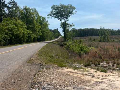 64 Acre Timberland Hunting Property : Chatham : Jackson Parish : Louisiana