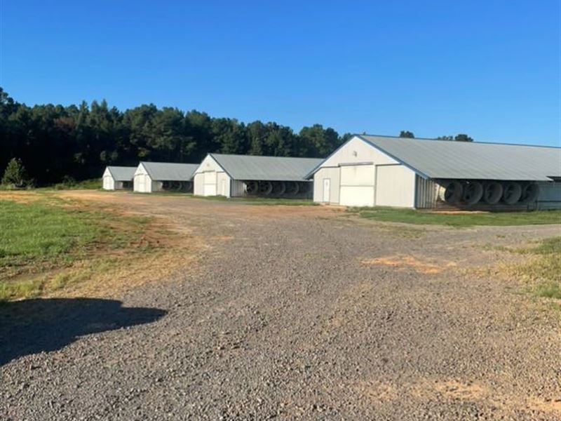 4 House Breeder Farm : Weir : Choctaw County : Mississippi