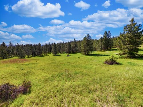 Porcupine Bay Getaway : Davenport : Lincoln County : Washington