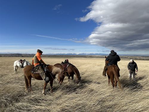 Table Rock Ranch : Ryegate : Wheatland County : Montana