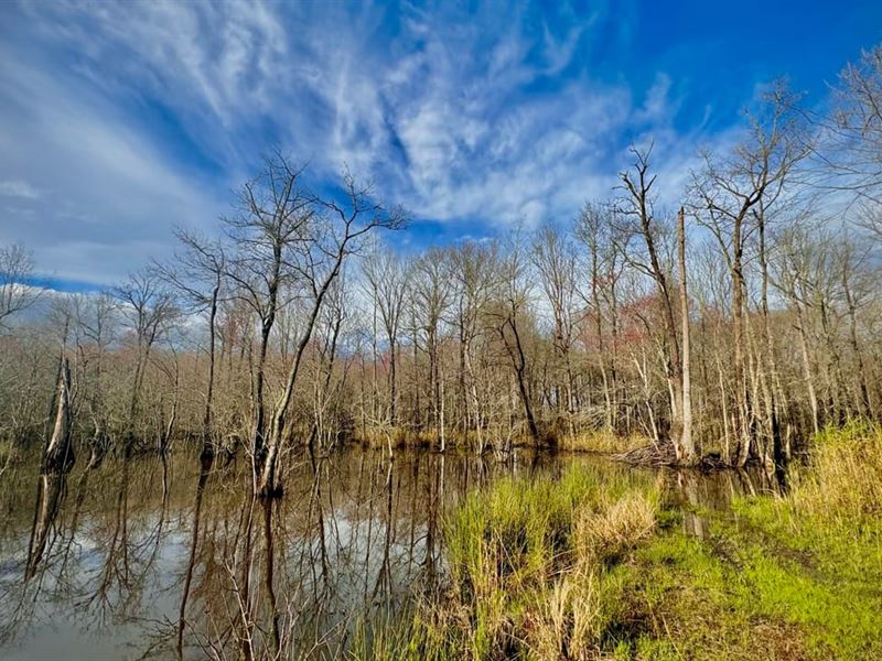 Ohoopee River Retreat, 2,850/Acre, Farm for Sale in 373681